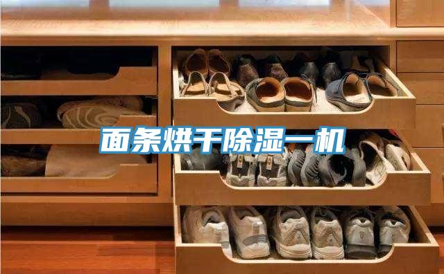 麵條烘幹除濕一機