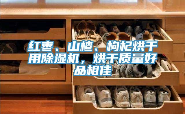 紅棗、山楂、枸杞烘幹用好色先生在线播放,烘幹質量好品相佳