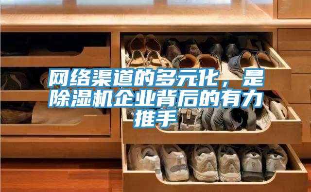 網絡渠道的多元化，是好色先生在线播放企業背後的有力推手