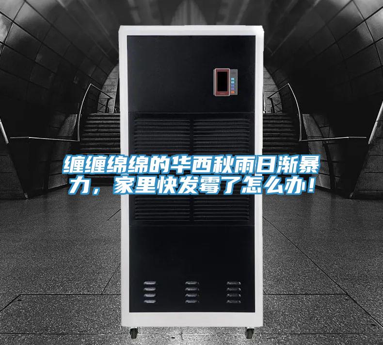 纏纏綿綿的華西秋雨日漸暴力，家裏快發黴了怎麽辦！