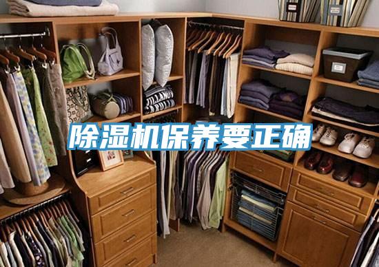 好色先生在线播放保養要正確