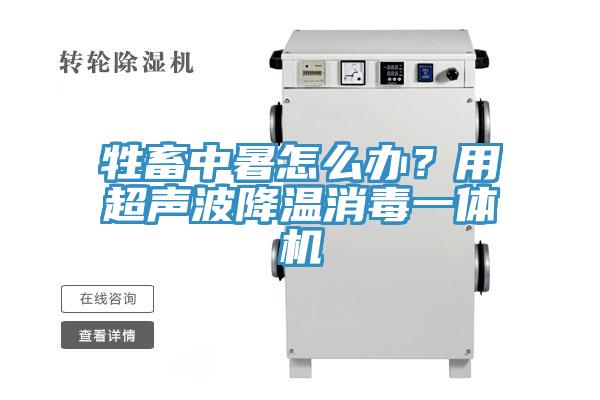 牲畜中暑怎麽辦？用超聲波降溫消毒一體機