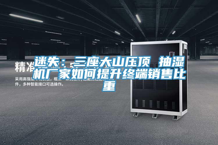 迷失：三座大山壓頂 抽濕機廠家如何提升終端銷售比重