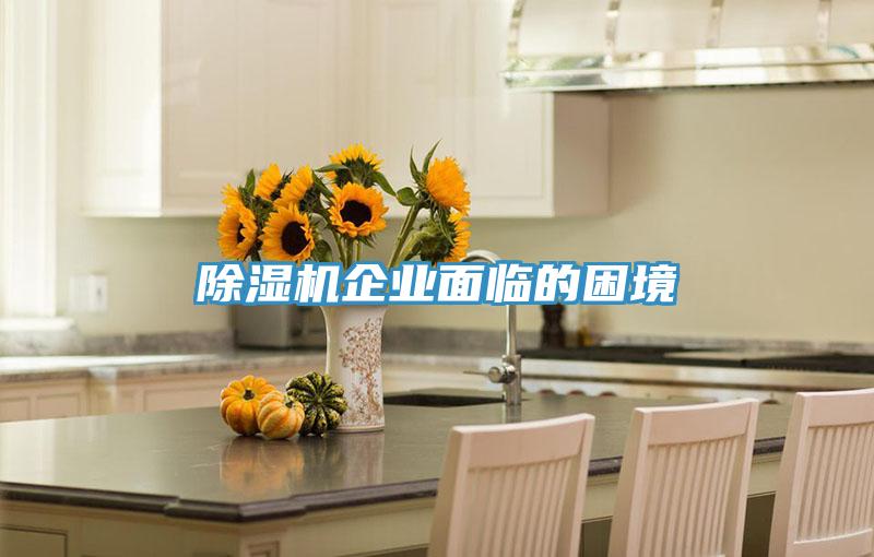 好色先生在线播放企業麵臨的困境