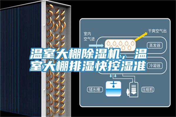 溫室大棚好色先生在线播放，溫室大棚排濕快控濕準