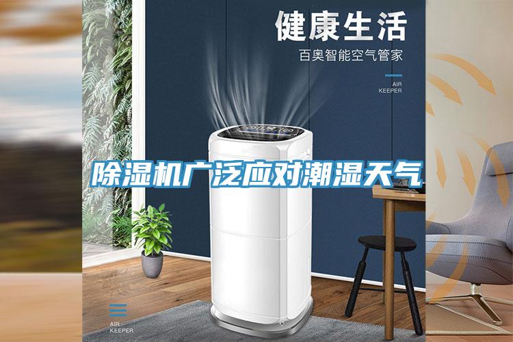 好色先生在线播放廣泛應對潮濕天氣