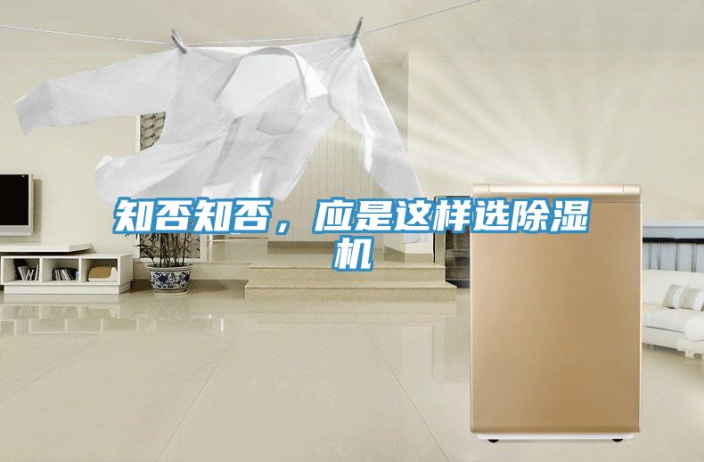 知否知否，應是這樣選好色先生在线播放