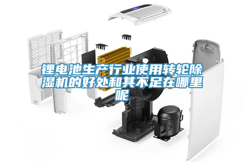 鋰電池生產行業使用轉輪好色先生在线播放的好處和其不足在哪裏呢