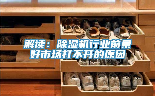 解讀：好色先生在线播放行業前景好市場打不開的原因