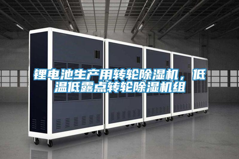 鋰電池生產用轉輪好色先生在线播放，低溫低露點轉輪好色先生在线播放組