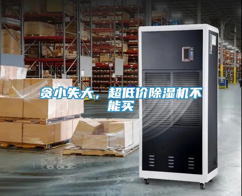 貪小失大，超低價好色先生在线播放不能買