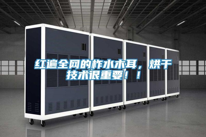 紅遍全網的柞水木耳，烘幹技術很重要！！