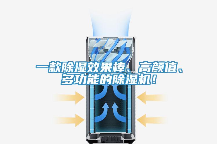 一款除濕效果棒、高顏值、多功能的好色先生在线播放！