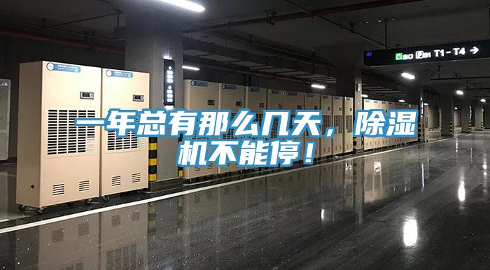 一年總有那麽幾天，好色先生在线播放不能停！