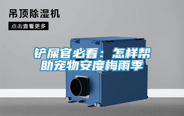 鏟屎官必看：怎樣幫助寵物安度梅雨季