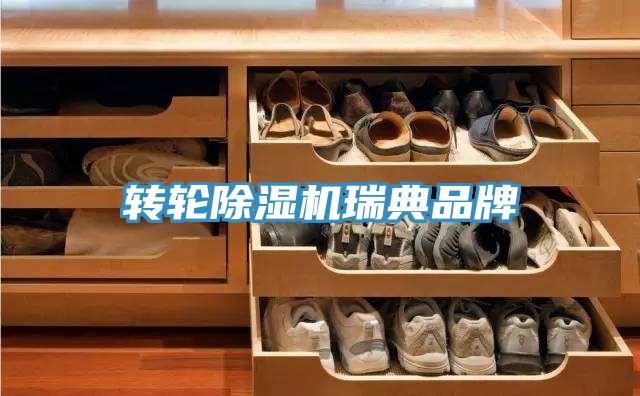 轉輪好色先生在线播放瑞典品牌