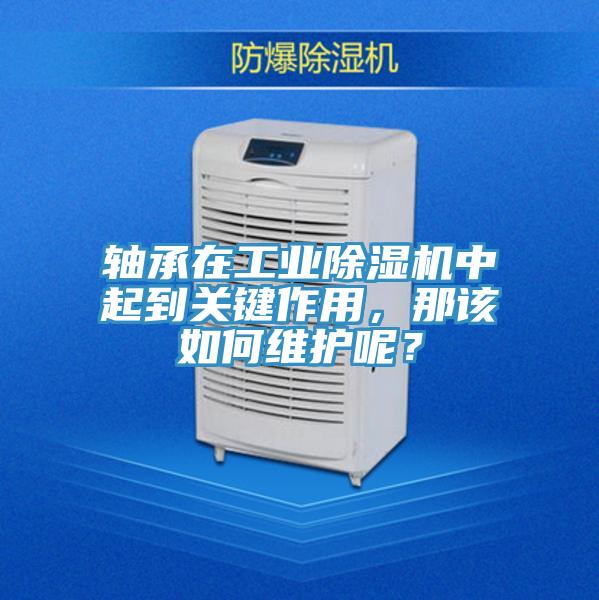 軸承在工業好色先生在线播放中起到關鍵作用,那該如何維護呢?