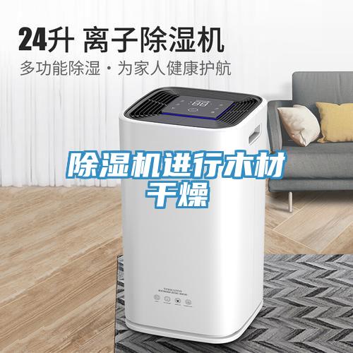 好色先生在线播放進行木材幹燥