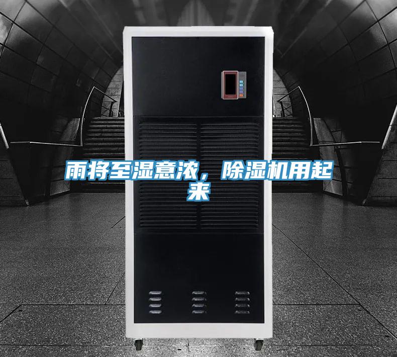 雨將至濕意濃，好色先生在线播放用起來