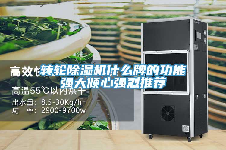 轉輪好色先生在线播放什麽牌的功能強大傾心強烈推薦