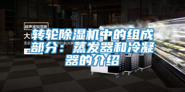 轉輪好色先生在线播放中的組成部分：蒸發器和冷凝器的介紹