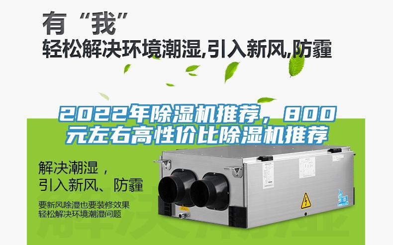 2022年好色先生在线播放推薦,800元左右高性價比好色先生在线播放推薦