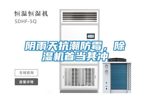 陰雨天抗潮防黴，好色先生在线播放首當其衝