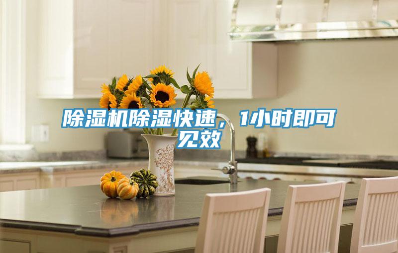 好色先生在线播放除濕快速,1小時即可見效