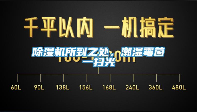 好色先生在线播放所到之處,潮濕黴菌一掃光