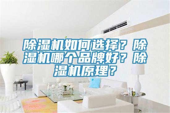 好色先生在线播放如何選擇？好色先生在线播放哪個品牌好？好色先生在线播放原理？