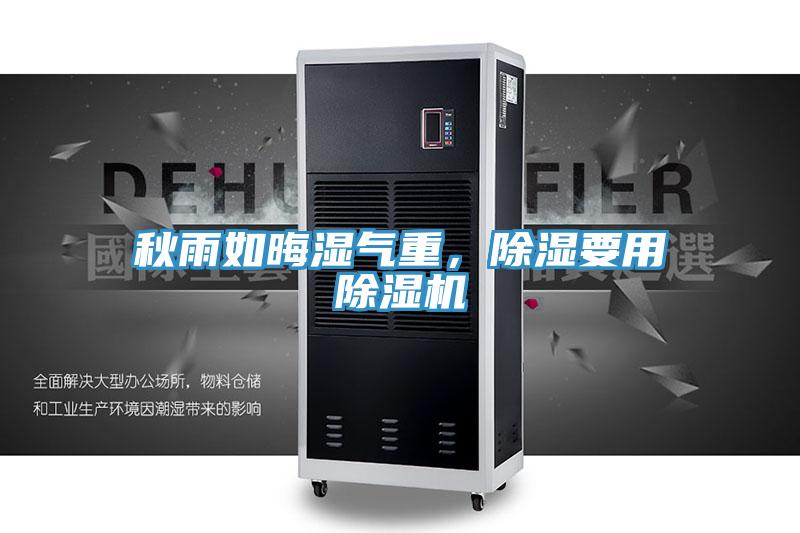 秋雨如晦濕氣重，除濕要用好色先生在线播放