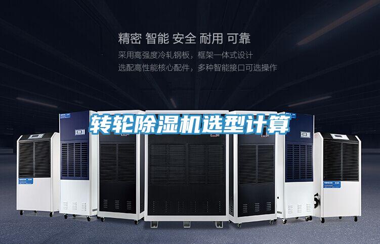 轉輪好色先生在线播放選型計算