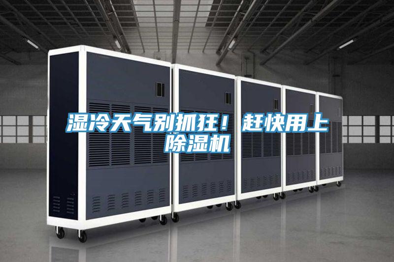 濕冷天氣別抓狂！趕快用上好色先生在线播放