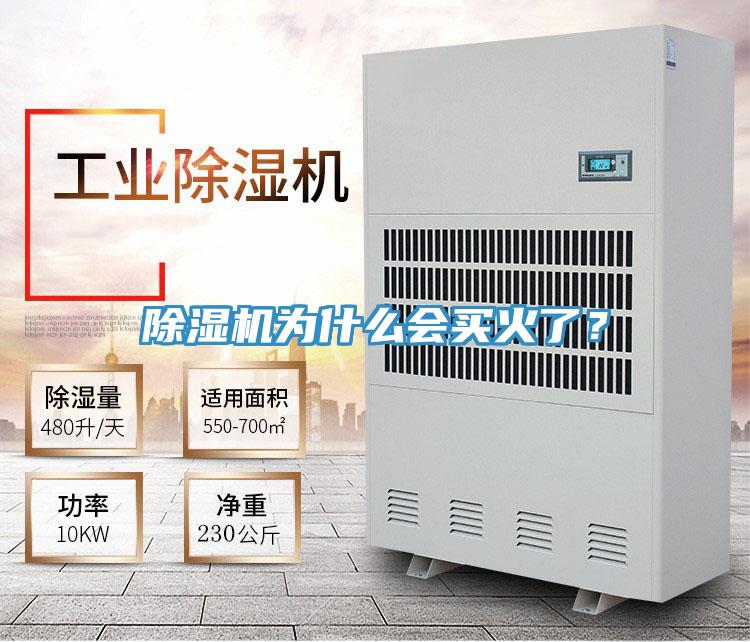 好色先生在线播放為什麽會買火了？