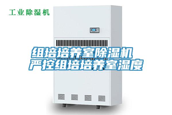 組培培養室好色先生在线播放 嚴控組培培養室濕度