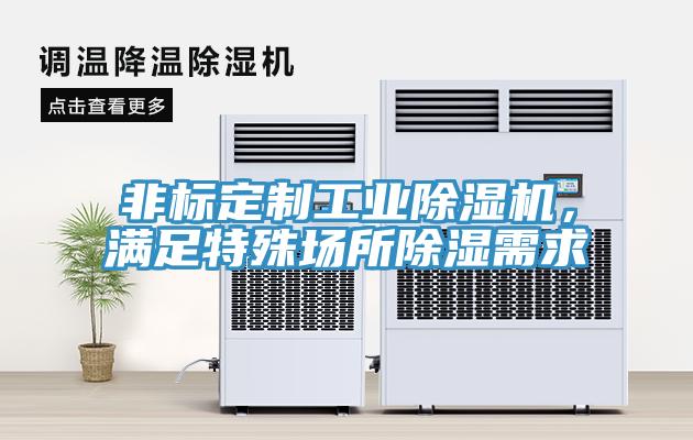 非標定製工業好色先生在线播放，滿足特殊場所除濕需求