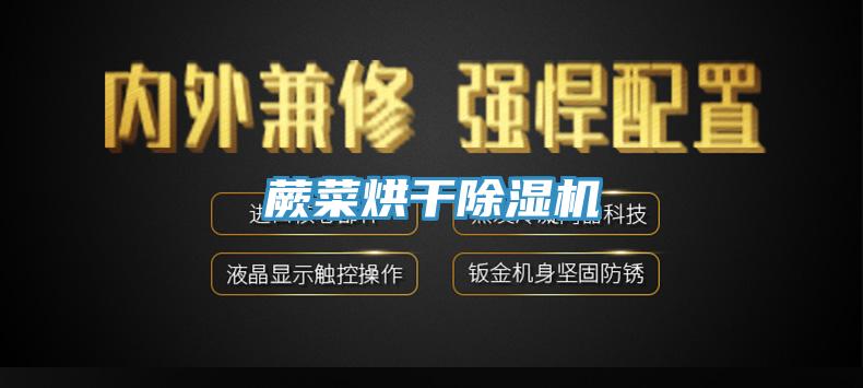 蕨菜烘幹好色先生在线播放