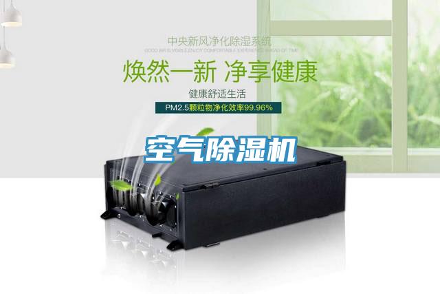 空氣好色先生在线播放