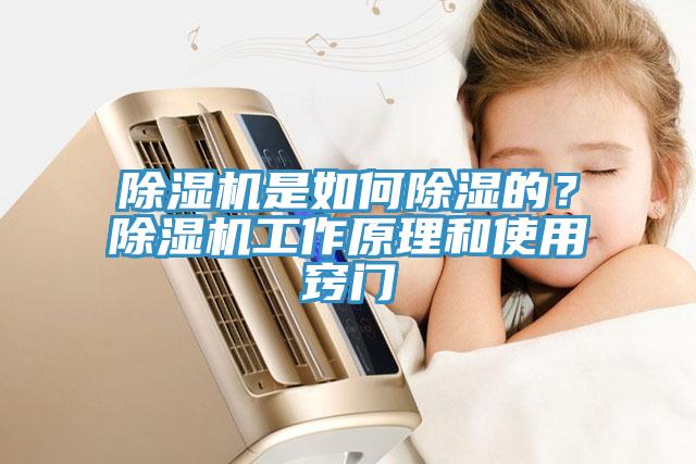 好色先生在线播放是如何除濕的？好色先生在线播放工作原理和使用竅門