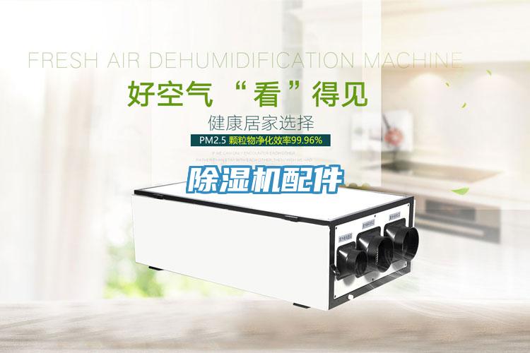 好色先生在线播放配件