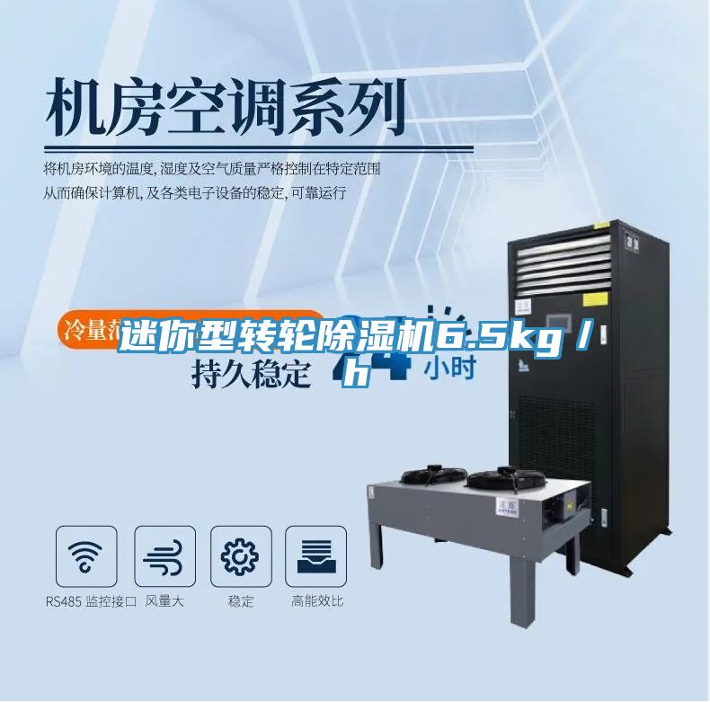 迷你型轉輪好色先生在线播放6.5kg／h