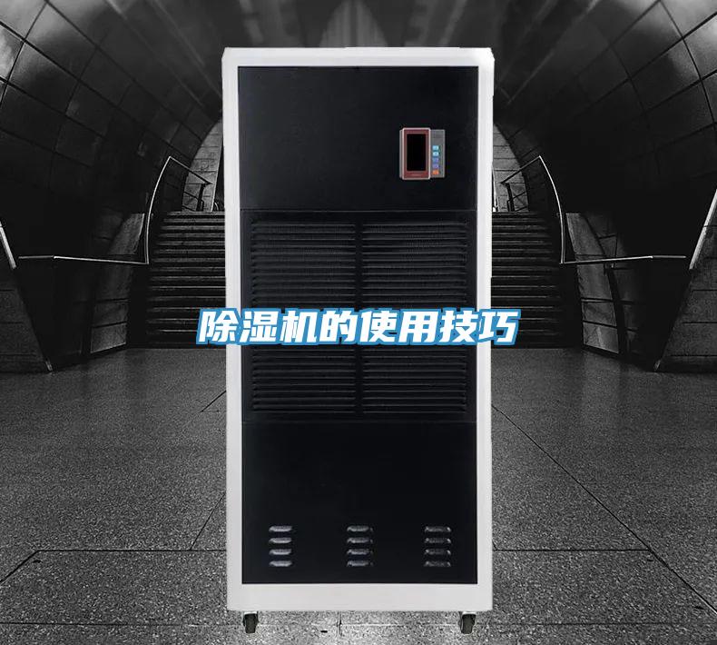 好色先生在线播放的使用技巧