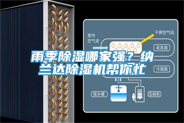 雨季除濕哪家強？納蘭達好色先生在线播放幫你忙