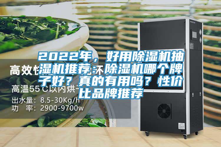 2022年，好用好色先生在线播放抽濕機推薦：好色先生在线播放哪個牌子好？真的有用嗎？性價比品牌推薦
