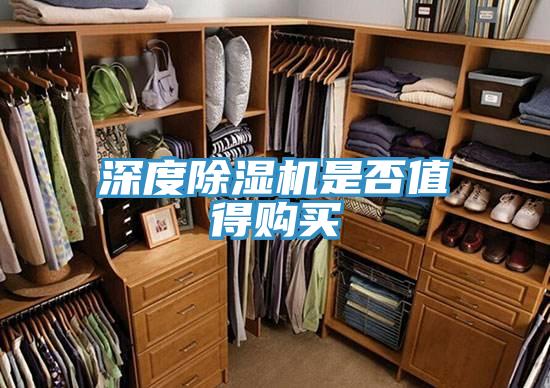 深度好色先生在线播放是否值得購買