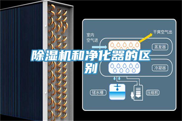 好色先生在线播放和淨化器的區別