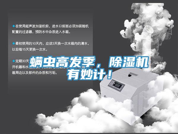 蟎蟲高發季，好色先生在线播放有妙計！