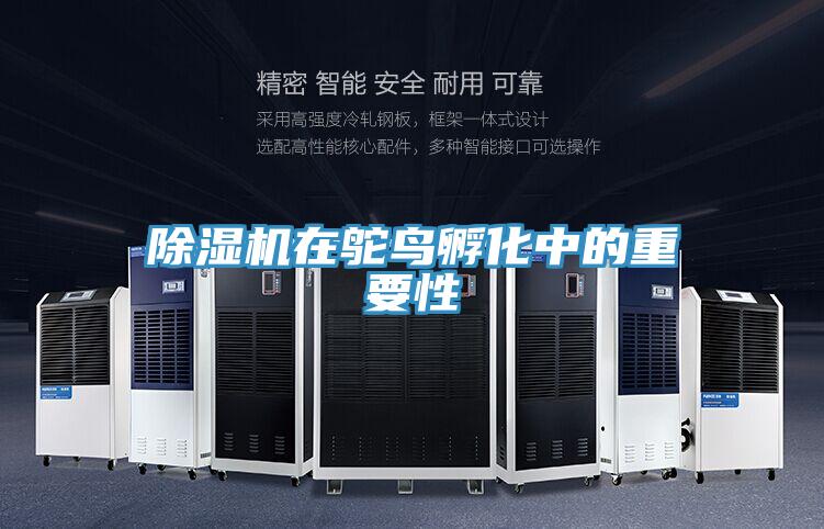 好色先生在线播放在鴕鳥孵化中的重要性