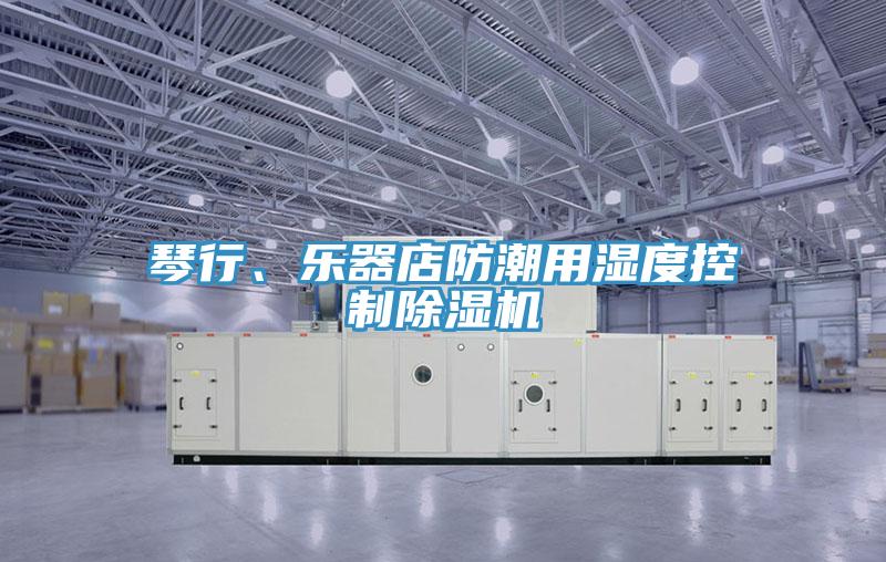 琴行、樂器店防潮用濕度控製好色先生在线播放