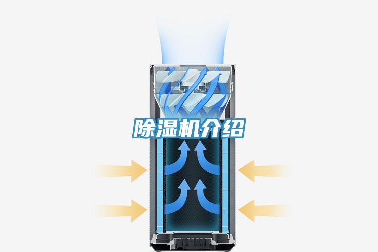 好色先生在线播放介紹